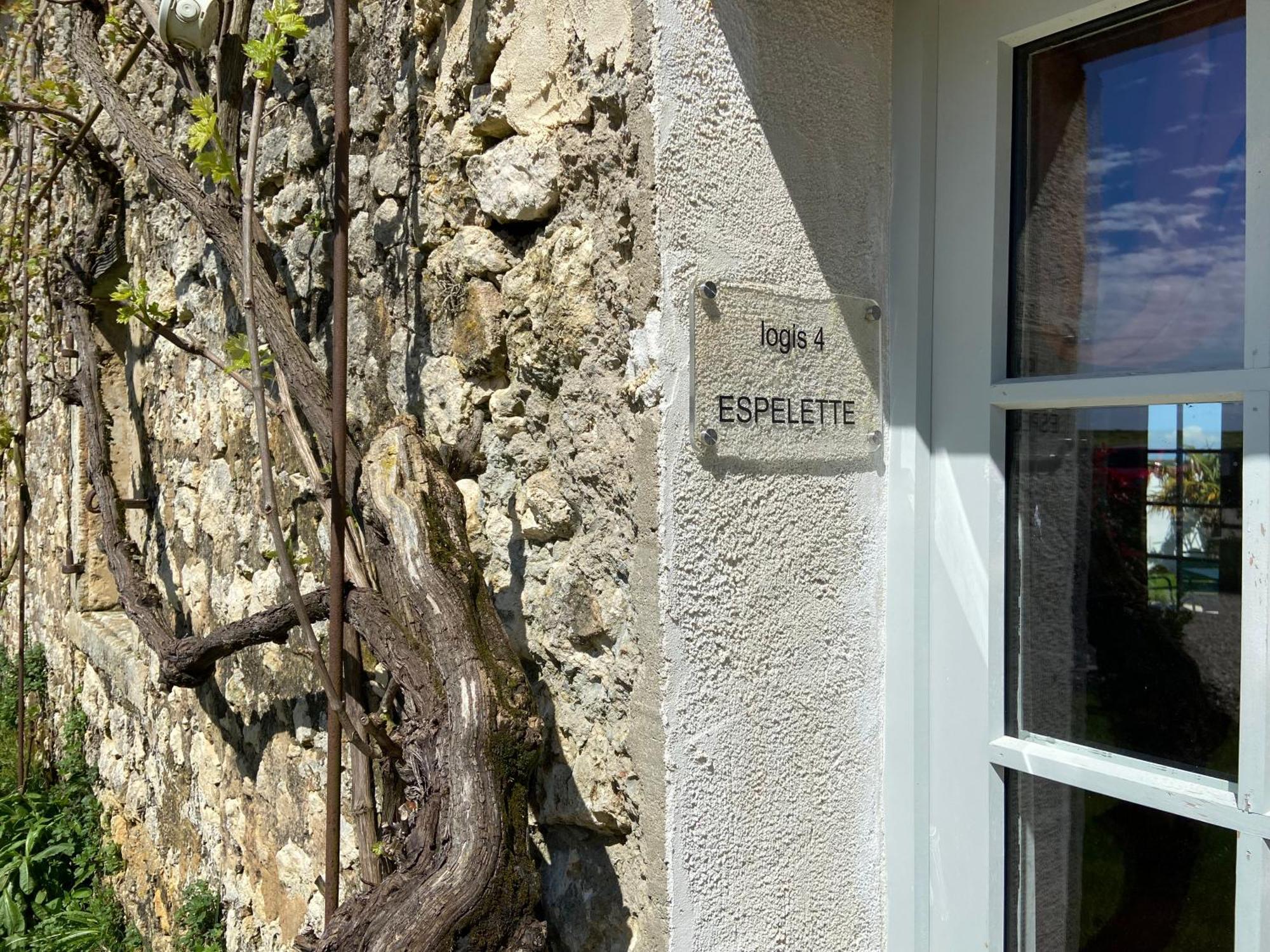 Chateau De Feusse Saint-Just-Luzac Exterior photo